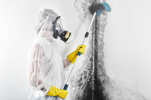Best Crawl Space Mold Remediation  in Columbia, MD