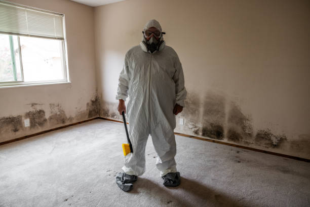 Best Mold Odor Removal Services  in Columbia, MD